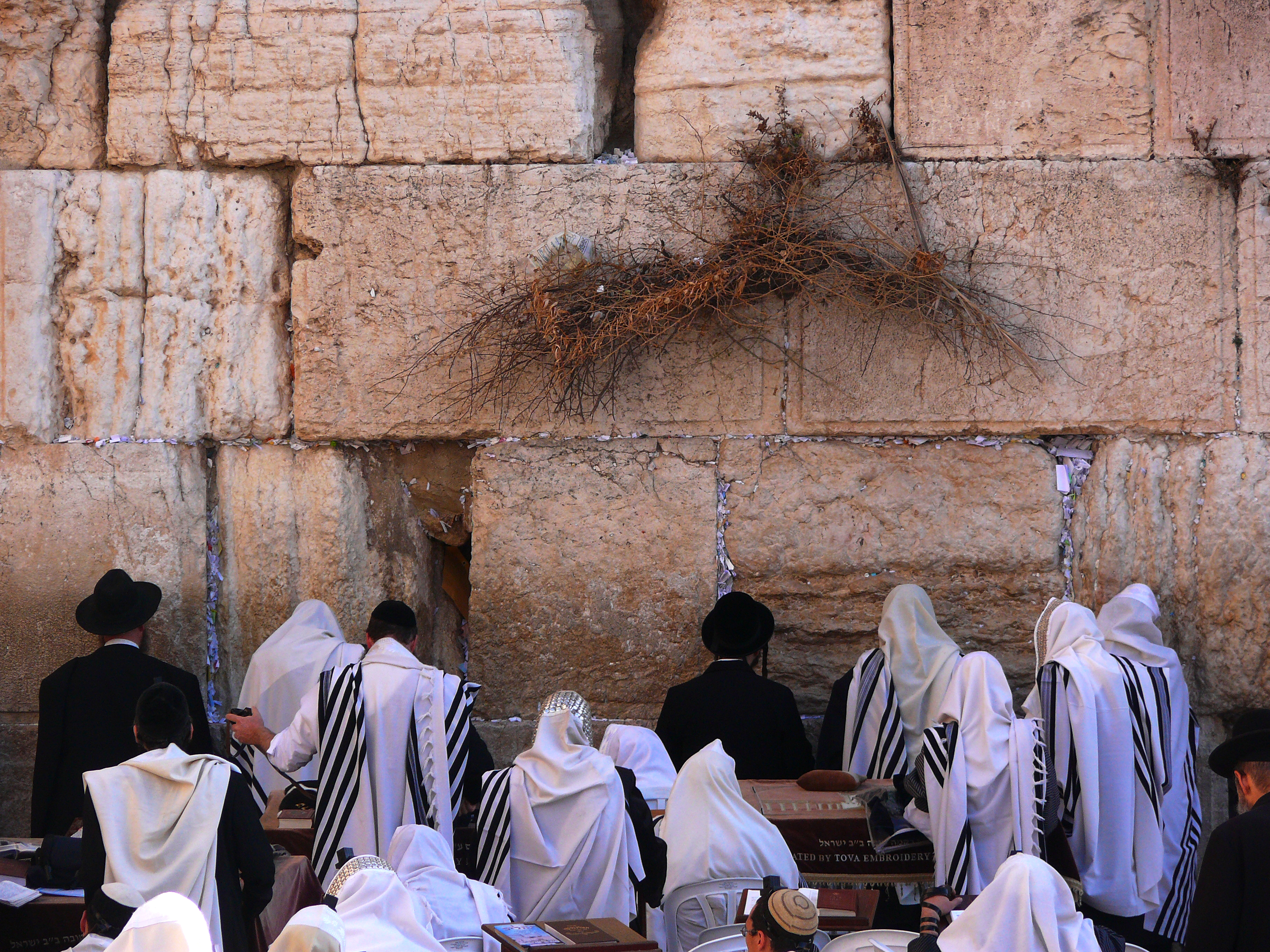 Jews praying at the Western Wall